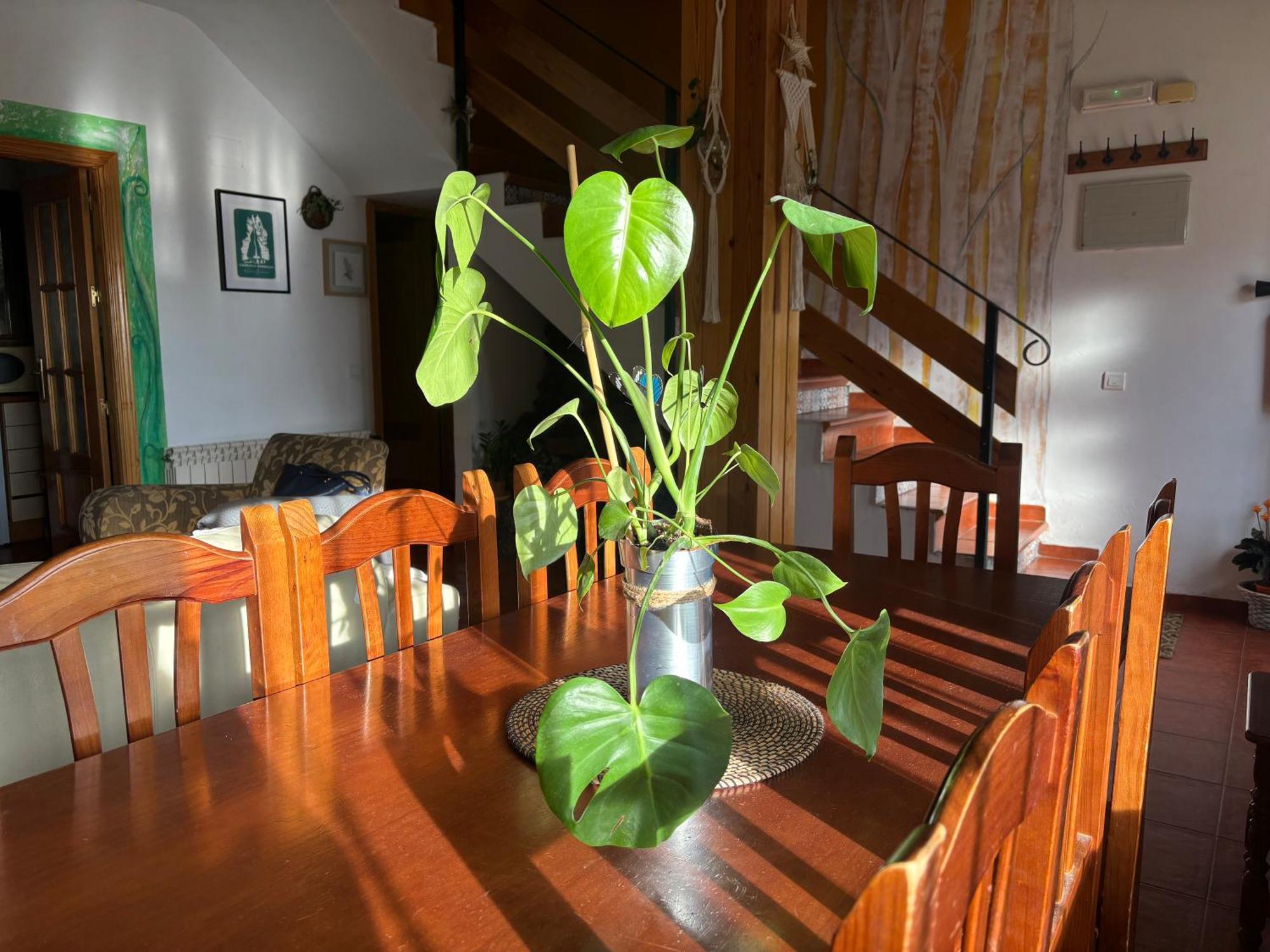 Villa Espejo Del Tietar à Pedro Bernardo Extérieur photo